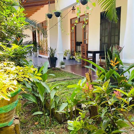Fairview Dill Homestay Sigiriya Exteriér fotografie