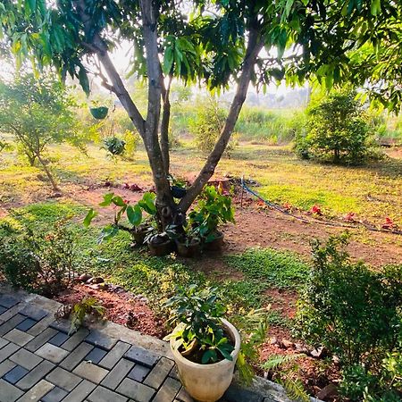 Fairview Dill Homestay Sigiriya Exteriér fotografie