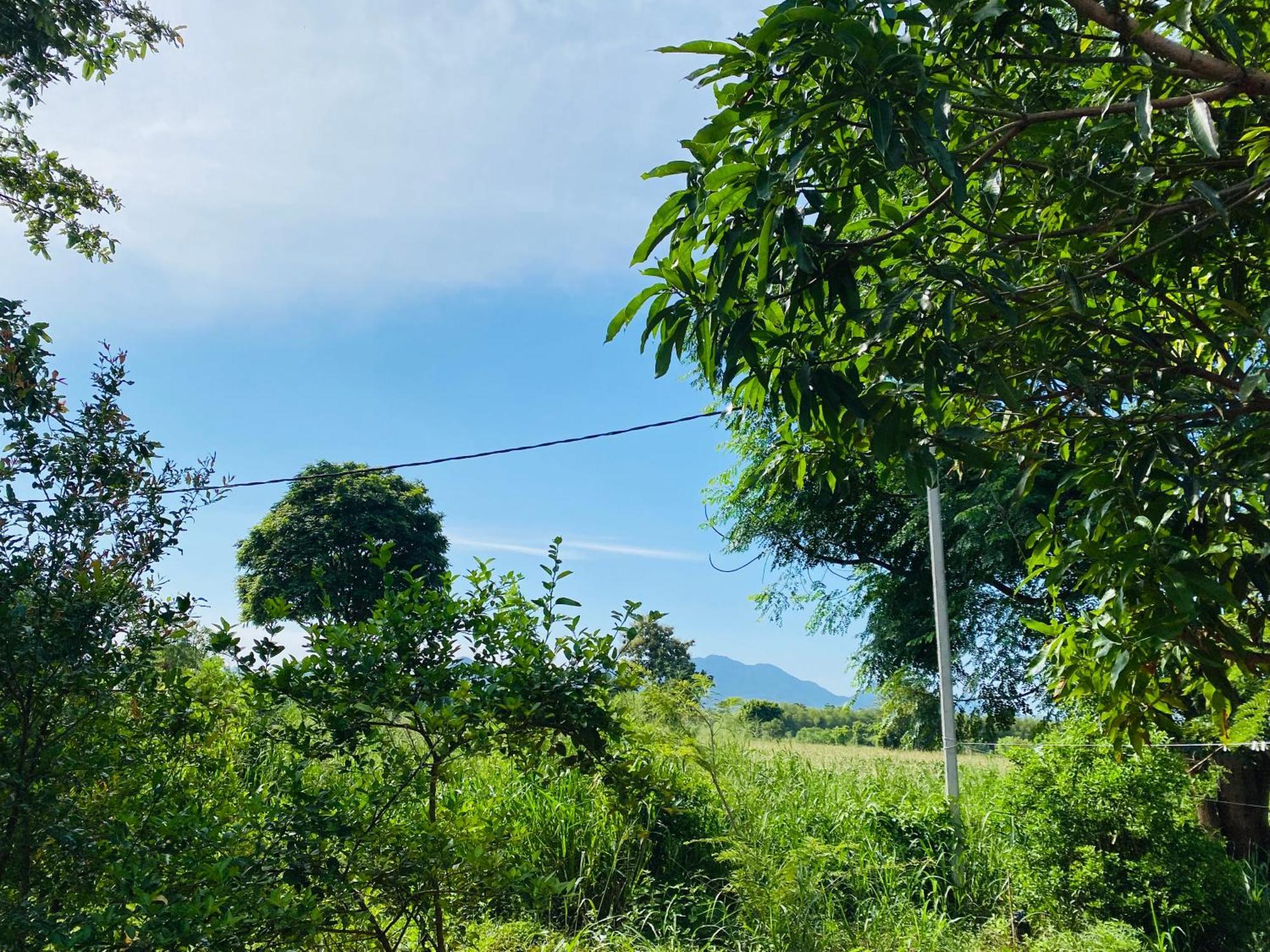 Fairview Dill Homestay Sigiriya Exteriér fotografie