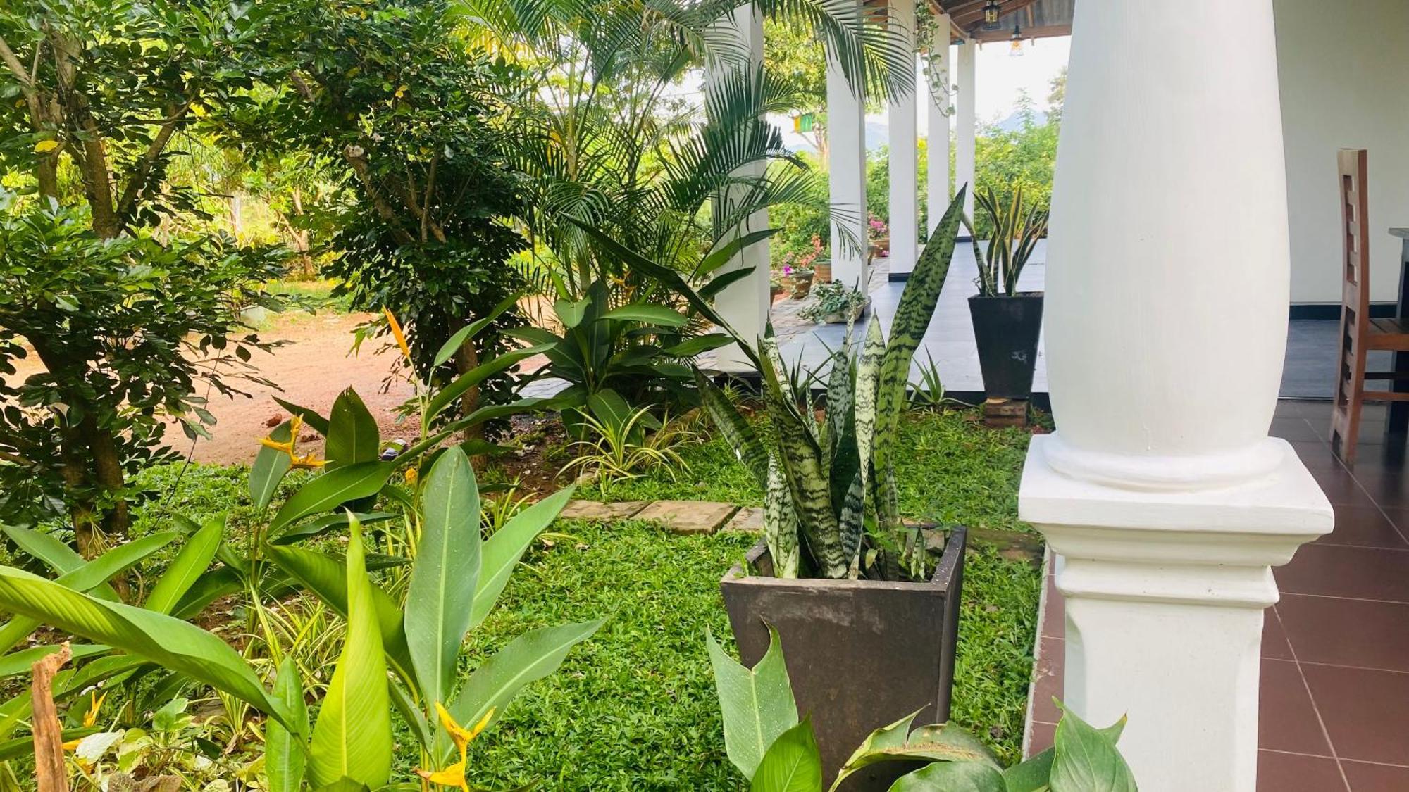 Fairview Dill Homestay Sigiriya Exteriér fotografie
