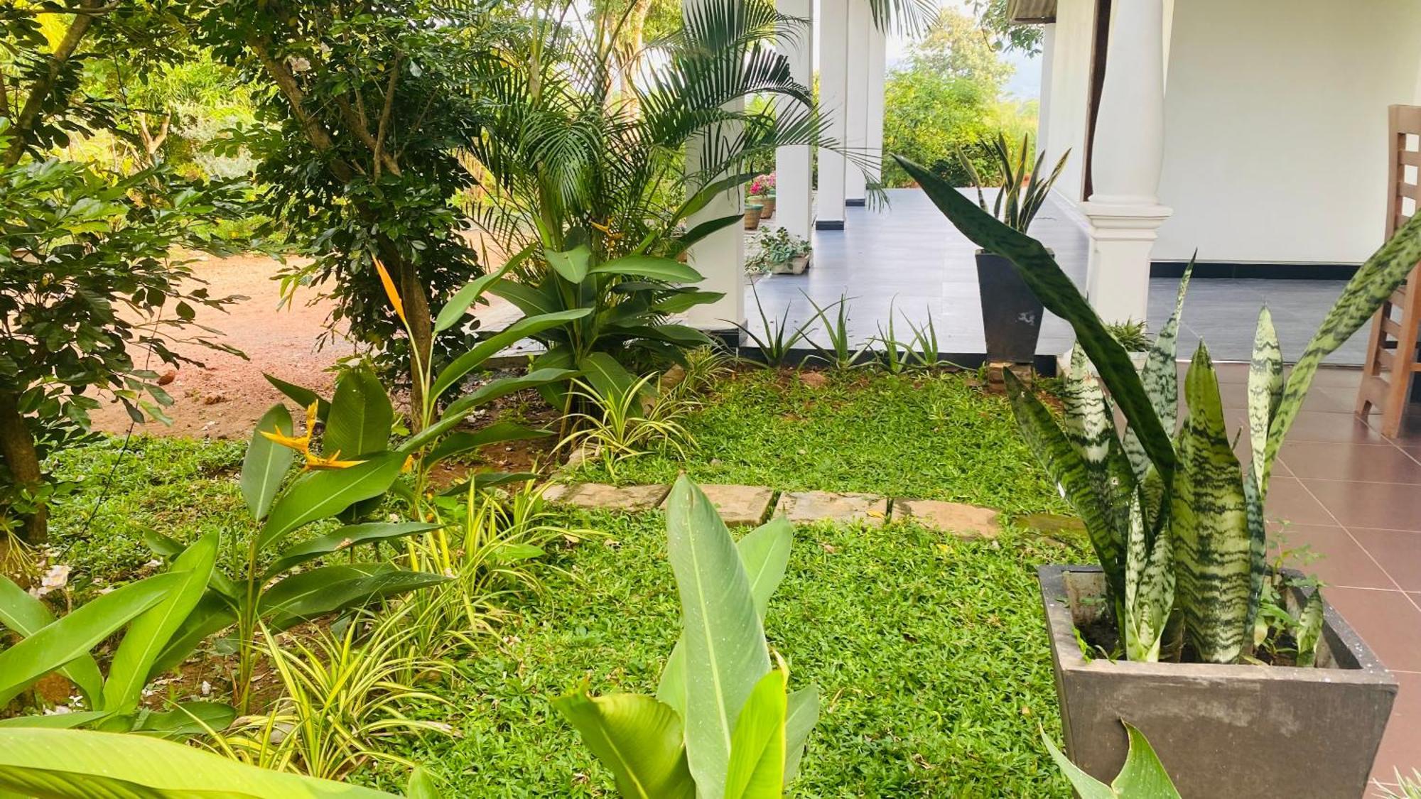 Fairview Dill Homestay Sigiriya Exteriér fotografie