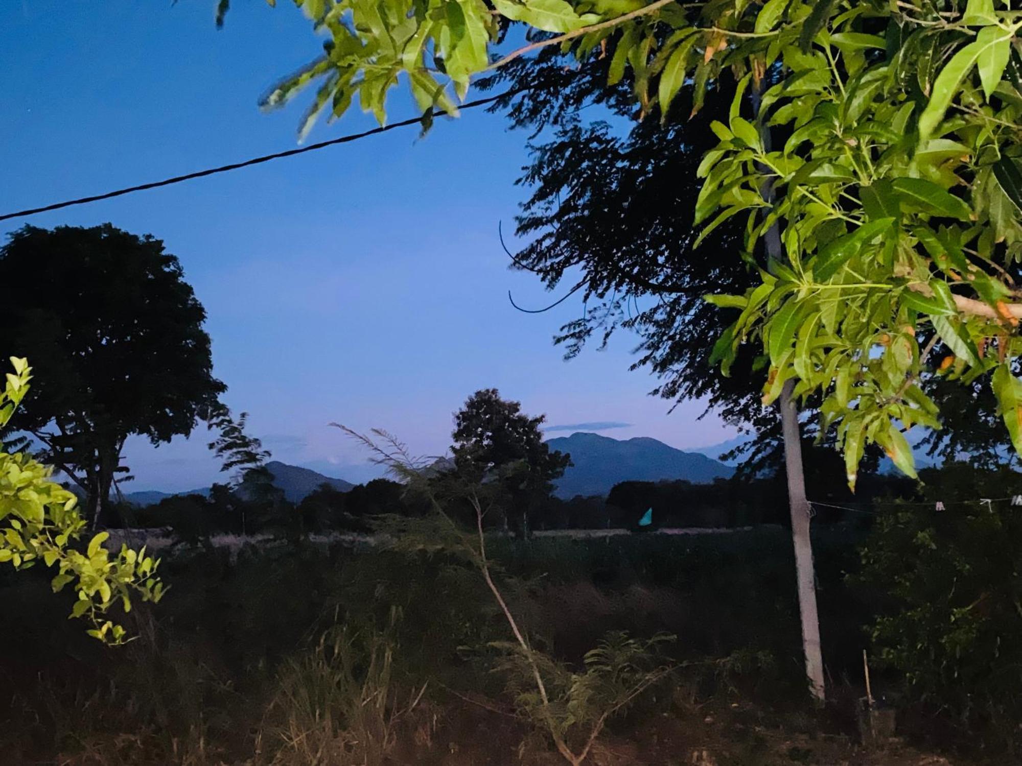 Fairview Dill Homestay Sigiriya Exteriér fotografie