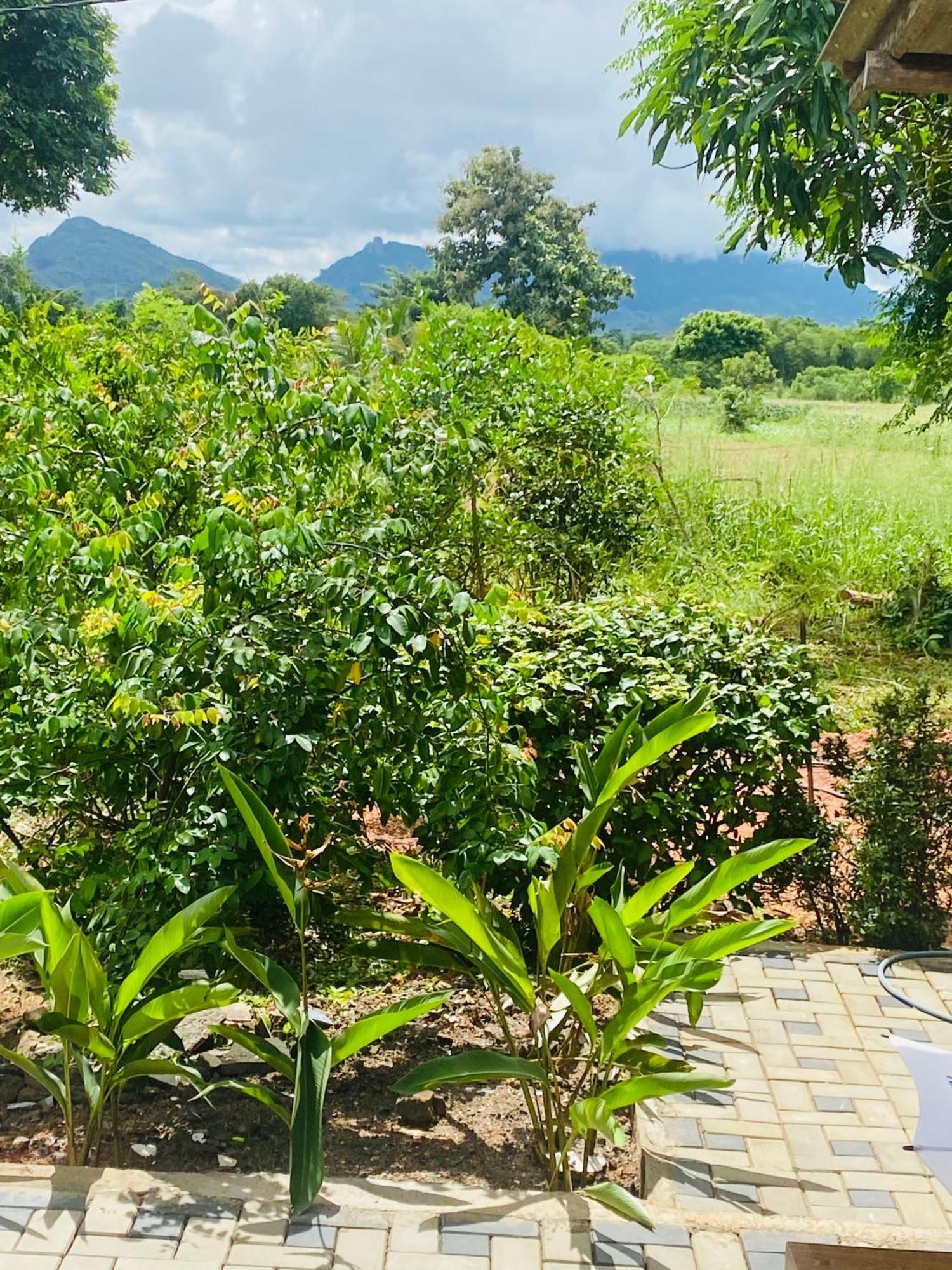 Fairview Dill Homestay Sigiriya Exteriér fotografie