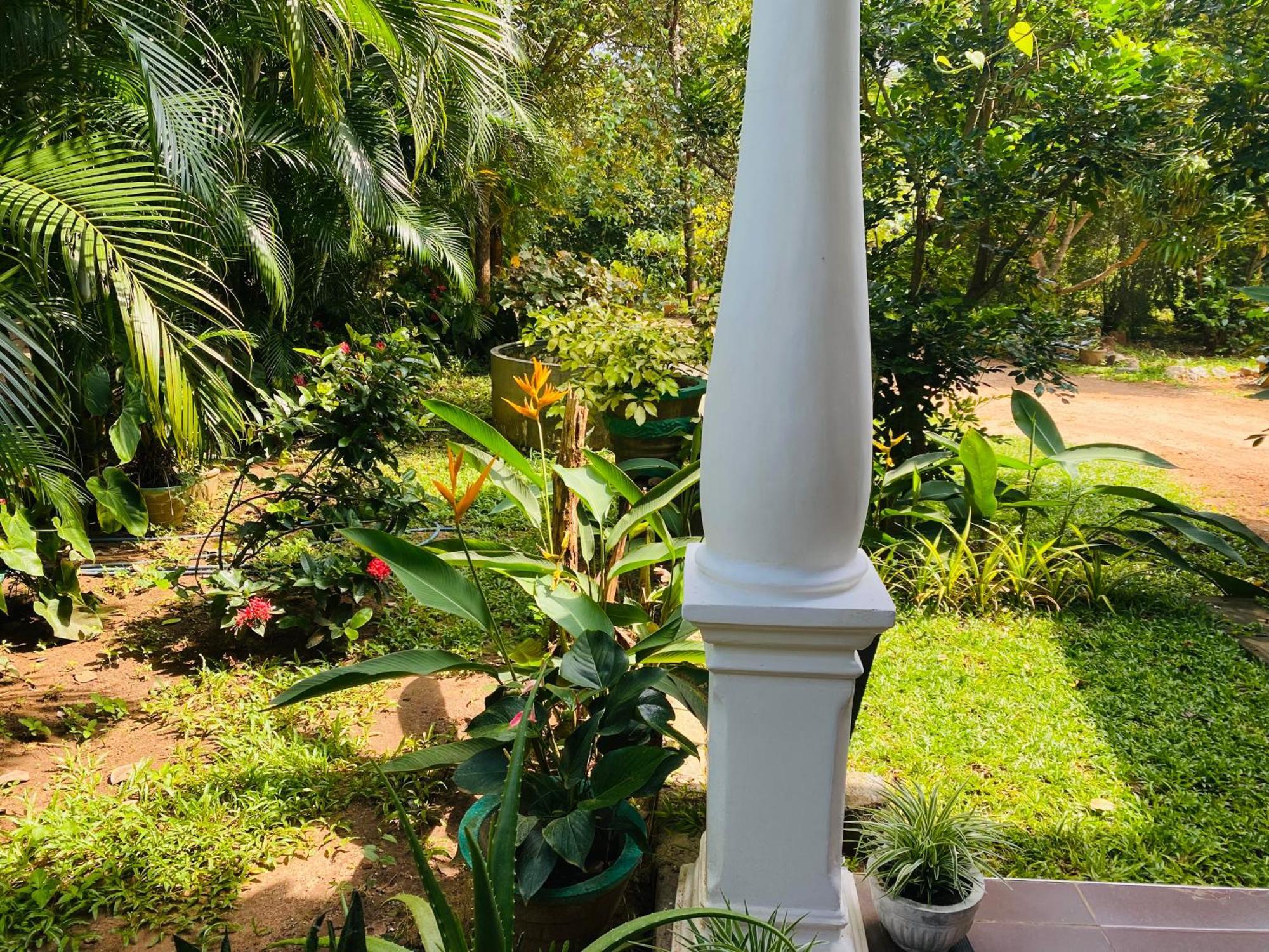 Fairview Dill Homestay Sigiriya Exteriér fotografie
