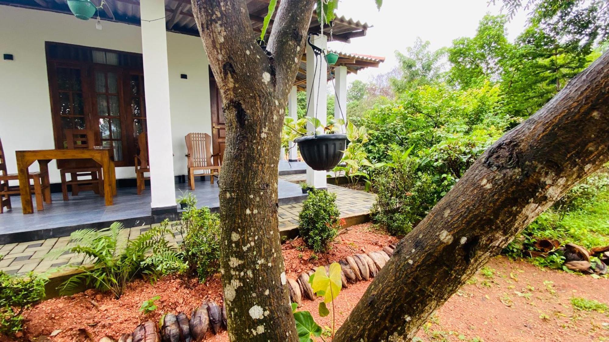 Fairview Dill Homestay Sigiriya Exteriér fotografie