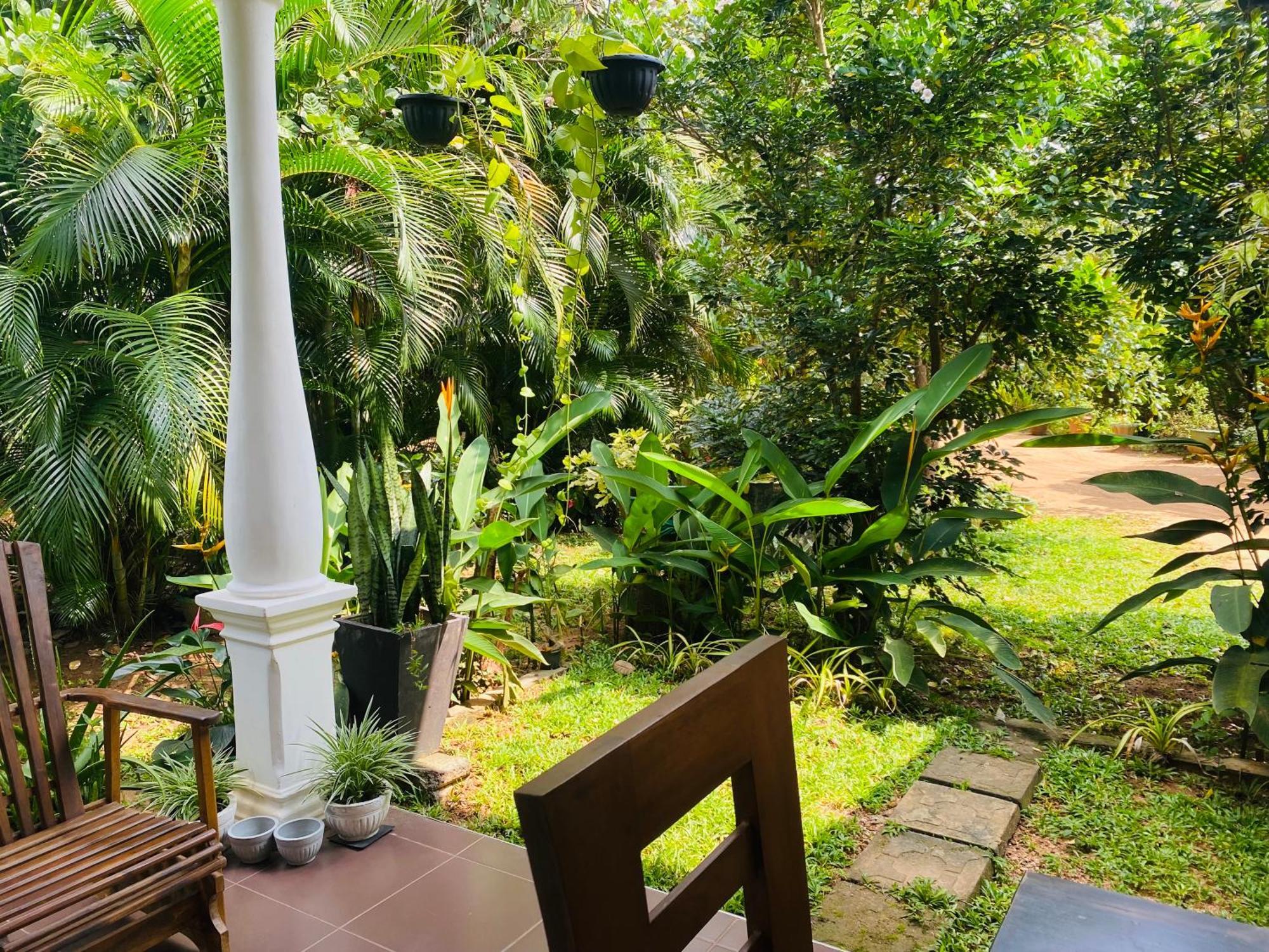 Fairview Dill Homestay Sigiriya Exteriér fotografie