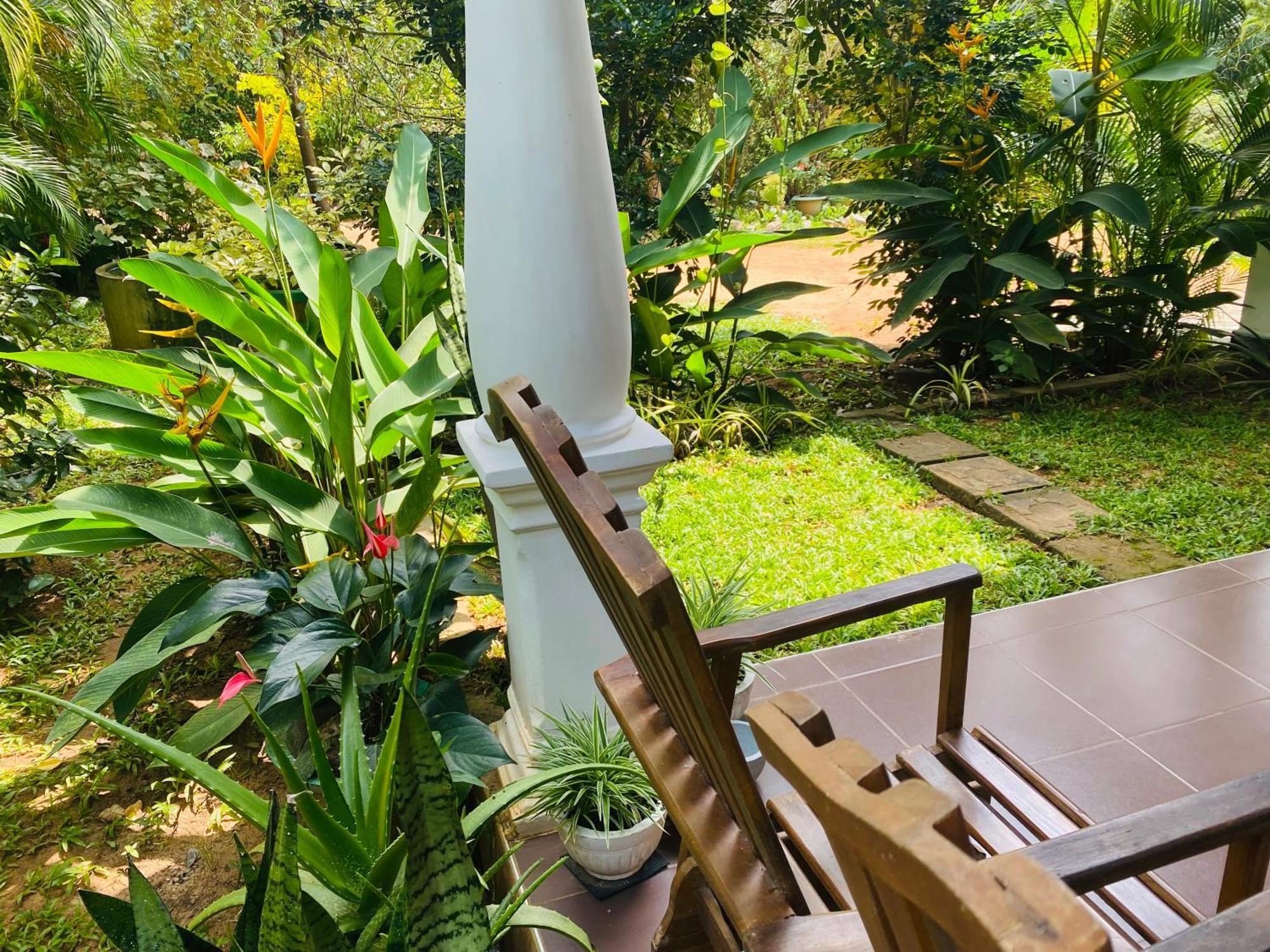 Fairview Dill Homestay Sigiriya Exteriér fotografie