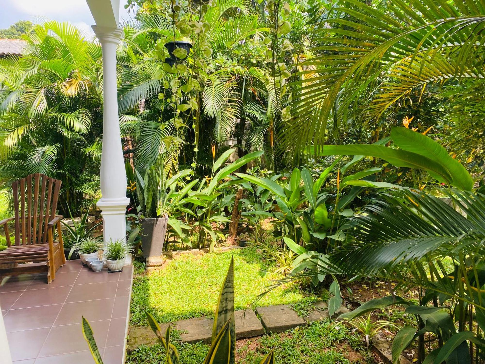 Fairview Dill Homestay Sigiriya Exteriér fotografie