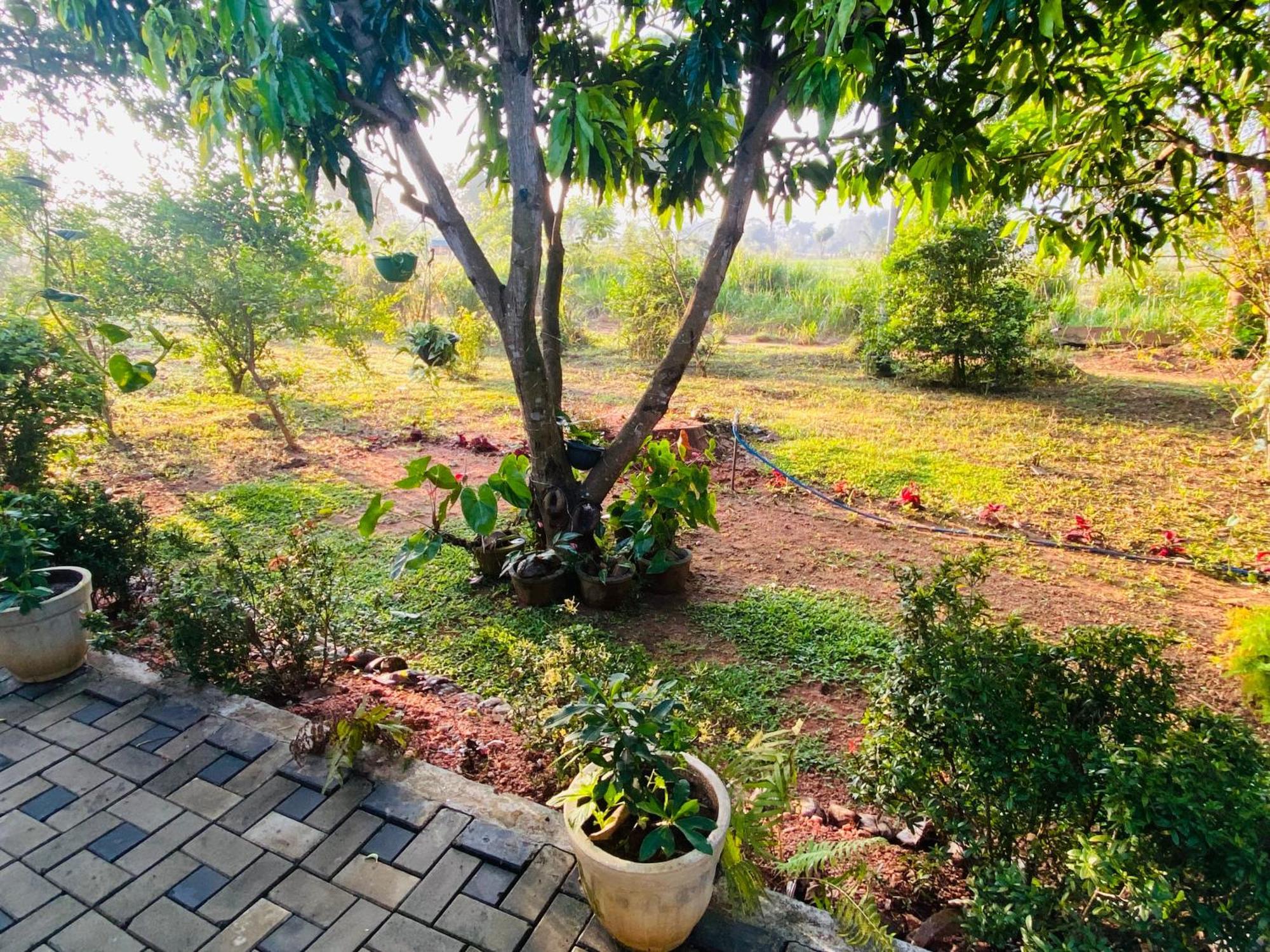 Fairview Dill Homestay Sigiriya Exteriér fotografie